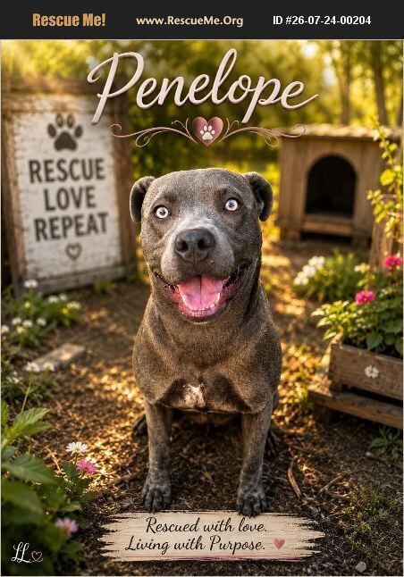 Penelope