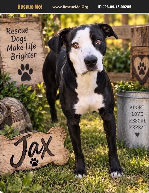 Jax