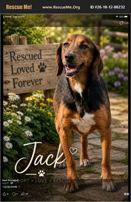 Jack image 1