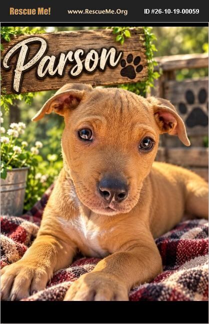 Parson