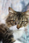 Quinby - Photo 1