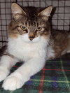 Quinby - Photo 2