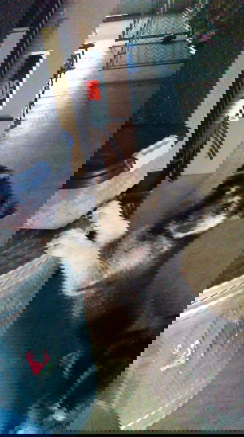 Brix