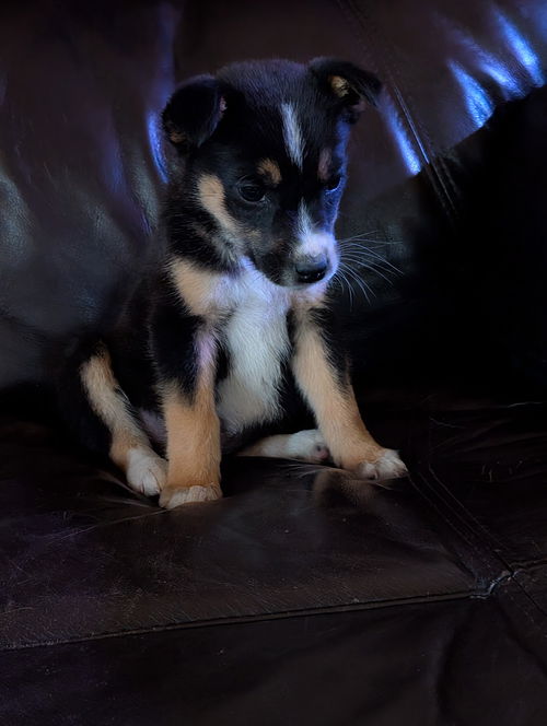 Ellie