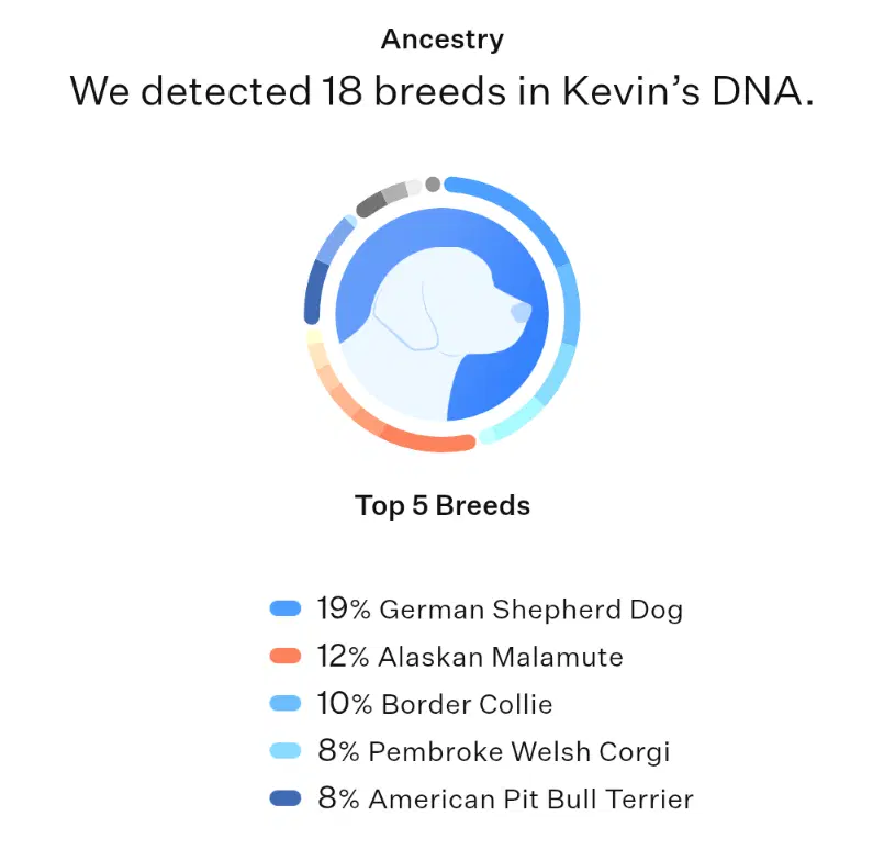Kevin image 3