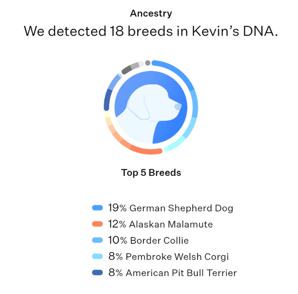 Kevin