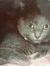 Cinders - Photo 1