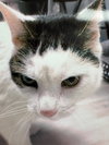 Kilo - Photo 1