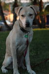 Parker