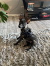 Floyd