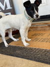 Fabric Litter-Tweed