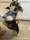 Chiquita