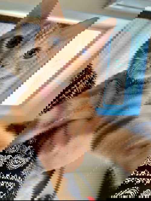 Jacob