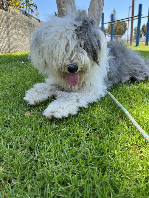 Frida