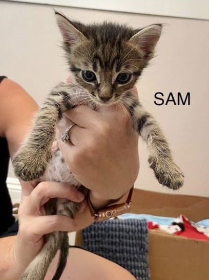 Sam