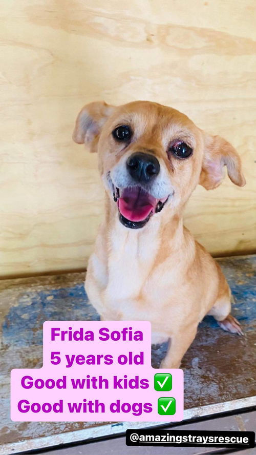 Frida Sofia