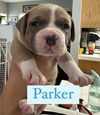 Parker