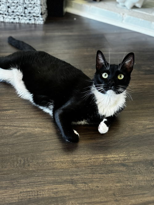 Taki