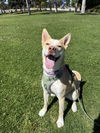 Lucy