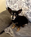 Finnigan
