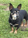 Finnigan