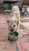 Alfie