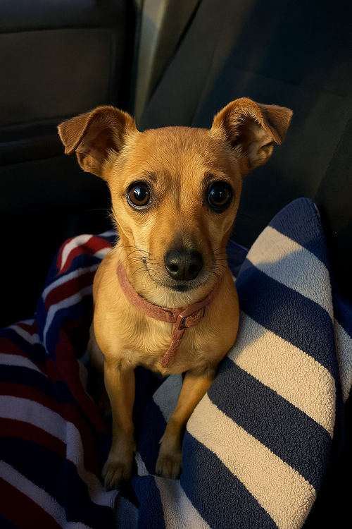 Paco