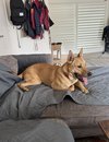 Maggie
