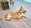Maggie
