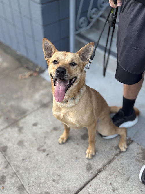Maggie