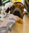 Lucky - Photo 5