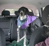 CARSON (Local) kt - Photo 4