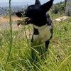 OLIVIA (Local) SF bonded w/ Orio - Photo 4
