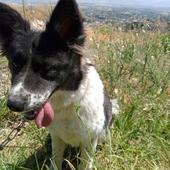 ORIO (Local) SF Bonded w/ Olivia