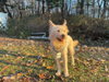 Riley (S. Korea) hz - Photo 3