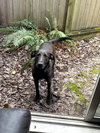 Sweetie (local) sf - Photo 3