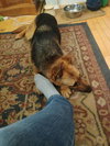 NELLIE (local) sf - Photo 3