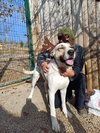 PRECIOUS (Turkey) kt - Photo 4