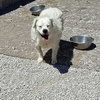 PAMUK (Turkey) kt - Photo 3