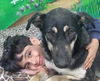 adoptable Dog in Langley, BC named SIMA (Mid-East) yo