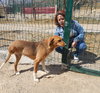 NOVA (Turkey) kt - Tripaw - Photo 2