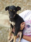 Lennon (Lebanon) nt - Photo 4