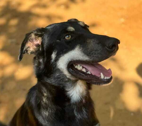 Lennon (Lebanon) nt
