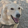 Zeyno - Local -  kt - Photo 2