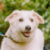 Alvin - local - sf - Photo 1