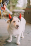 Alvin - local - sf - Photo 2