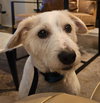 Alvin - local - sf - Photo 3