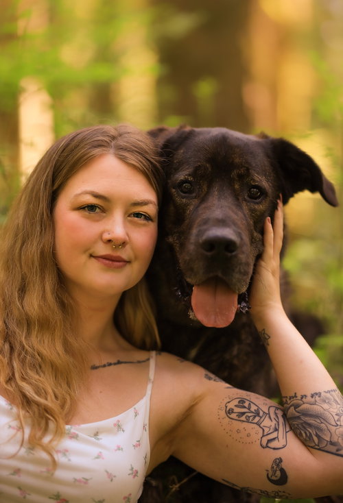 DUKE - LOCAL (MERRITT ) - SF - Mastiff / Great Pyrenees available for adoption