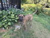 Kaida (Courtesy Post) - Photo 3