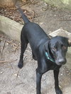 SAVORY (Rep of Georgia) yo - Photo 3